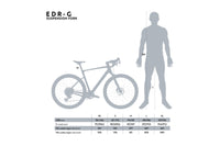 VAN RYSEL EDR-G CF Marron