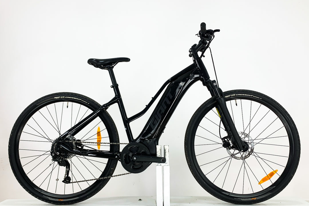 GIANT Roam E+ STA M