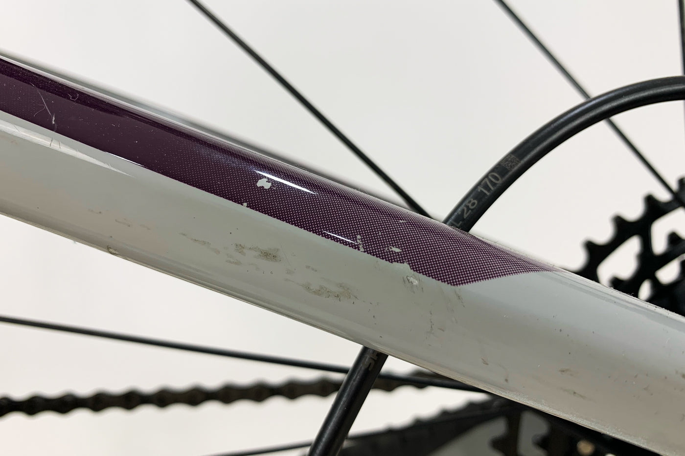 GIANT Reign 29 SX 2021 S