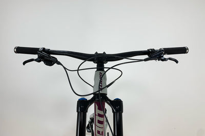 GIANT Reign 29 SX 2021 L